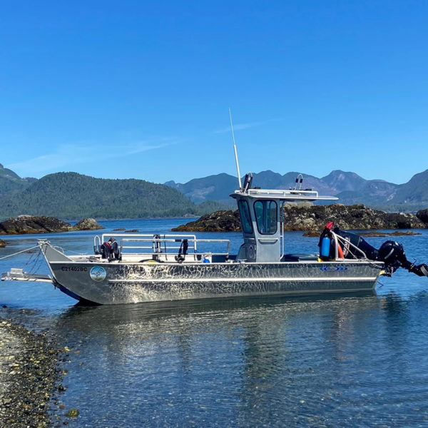 Shorebird Expeditions